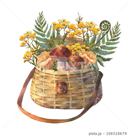 Set of edible mushrooms and wicker basket, watercolor illustration. Forest woodland clipart with boletus for card design, print, fabric. 106528679