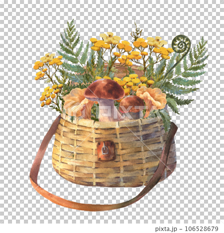 Set of edible mushrooms and wicker basket, watercolor illustration. Forest woodland clipart with boletus for card design, print, fabric. 106528679