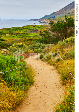 Dirt trail with thin stick and thin thread along path leading down wildflower hillside to ocean Dirt trail with thin stick and thin thread along path leading down wildflower hillside to ocean 106528681