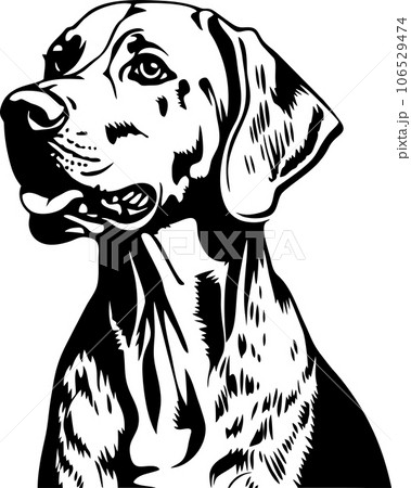 vector illustration of a dog 106529474