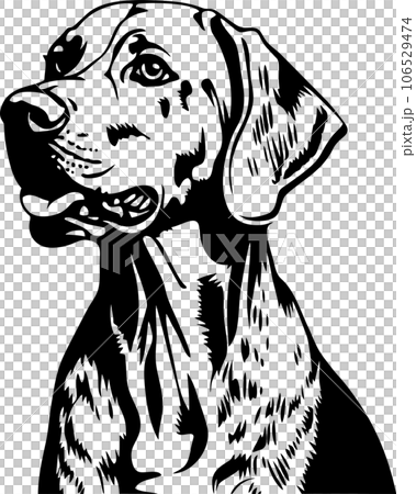 vector illustration of a dog 106529474