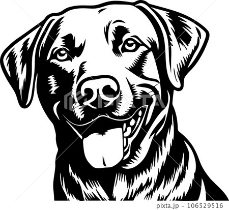 vector illustration of a dog vector illustration of a dog 106529516