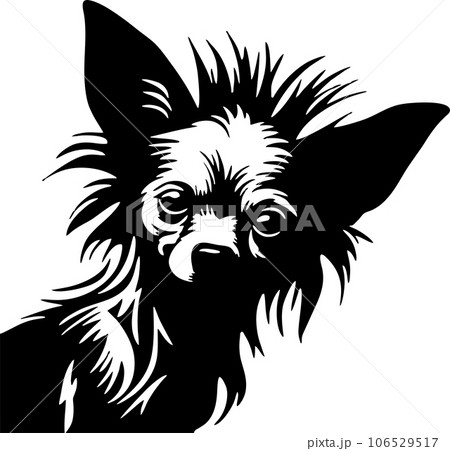 vector image of a dog vector image of a dog 106529517