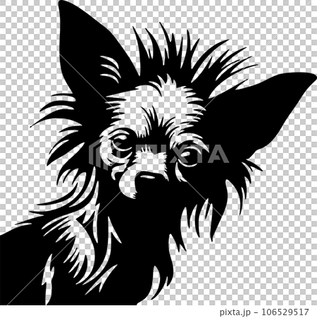 vector image of a dog vector image of a dog 106529517