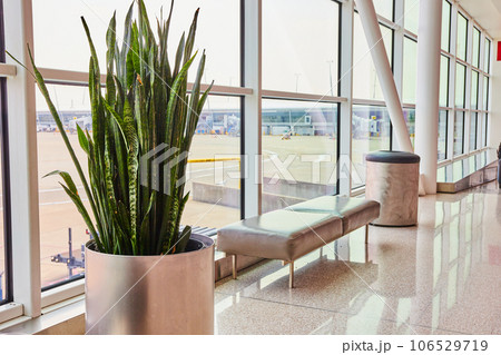 Generic airport hallway with green plant and bench beside windows with bright light 106529719