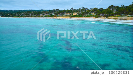 Gorgeous teal blue ocean water with kelp below waves aerial at Carmel Beach with sandy shore 106529831