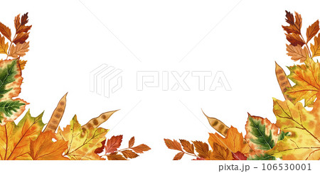 Banner with colorful autumn leaves on the bottom edge. Autumn colorful leaves. Autumn banner with the image of painted plants, hand-drawn watercolor, botanical painting. 106530001