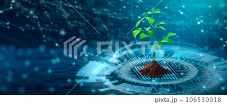 Tree with soil growing on the converging point of computer circuit board. Blue light and wireframe network background. Green Computing, Green Technology, Green IT, csr, and IT ethics Concept. Tree with soil growing on the converging point of computer circuit board. Blue light and wireframe network background. Green Computing, Green Technology, Green IT, csr, and IT ethics Concept. 106530018