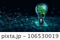 Tree with soil growing on Light bulb. Digital Convergence and and Technology Convergence. Blue light and network background. Green Computing, Green Technology, Green IT, csr, and IT ethics Concept. 106530019