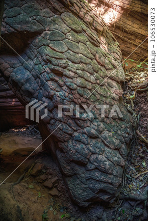 The beautiful scenery of the Nakee Cave, at Phu Langka National Park, Ban Phaeng District Nakhon Phanom Province, Thailand The beautiful scenery of the Nakee Cave, at Phu Langka National Park, Ban Phaeng District Nakhon Phanom Province, Thailand 106530073