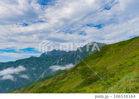夏の八方白馬 山岳風景 106530164