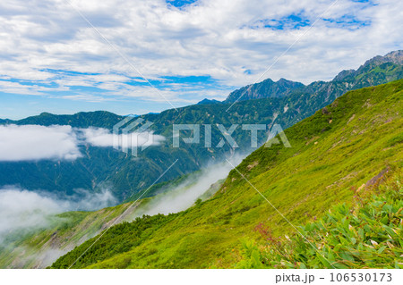 夏の八方白馬 山岳風景 106530173