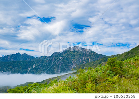 夏の八方白馬 登山道 夏の山岳風景素材 106530559