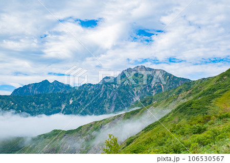 夏の八方白馬 登山道 夏の山岳風景素材 夏の八方白馬 登山道 夏の山岳風景素材 106530567