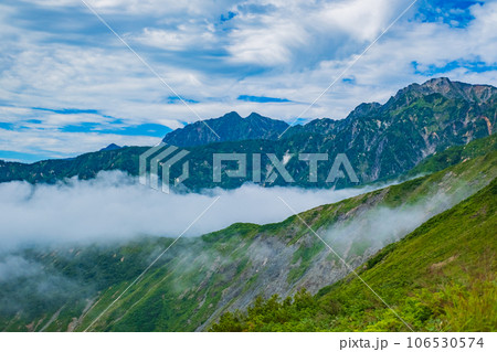 夏の八方白馬 登山道 夏の山岳風景素材 106530574