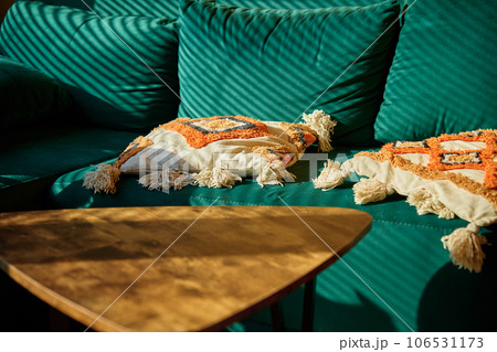 Living room interior with green sofa and coffee table with sunlight. Place for relax at cozy home. 106531173