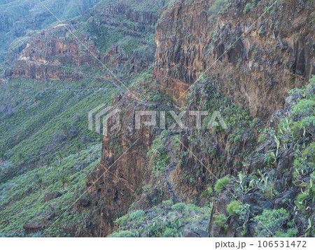 Scenic landscape at hiking trail through Barranco de Guarimiar Gorge. Green mountain canyon slopes with palm trees and succulent vegetation. La Gomera, Canary Islands, Spain, Europe. Scenic landscape at hiking trail through Barranco de Guarimiar Gorge. Green mountain canyon slopes with palm trees and succulent vegetation. La Gomera, Canary Islands, Spain, Europe. 106531472