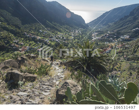 Man hiker on steep old stone road to El Retamal village. Green valley with palm trees, terraced fields and traditional colorful houses. Valle Gran Rey, La Gomera, Canary Islands, Spain, Europe. Man hiker on steep old stone road to El Retamal village. Green valley with palm trees, terraced fields and traditional colorful houses. Valle Gran Rey, La Gomera, Canary Islands, Spain, Europe. 106531497