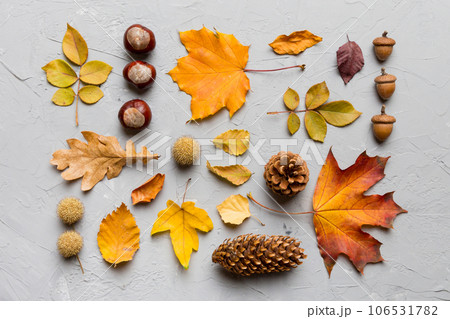 Autumn composition. Pattern made of dried leaves and other design accessories on table. Flat lay, top view Autumn composition. Pattern made of dried leaves and other design accessories on table. Flat lay, top view 106531782
