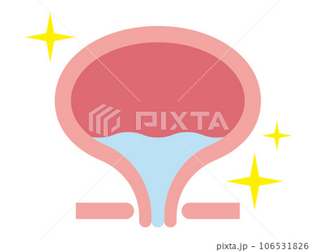 膀胱のイラスト 106531826