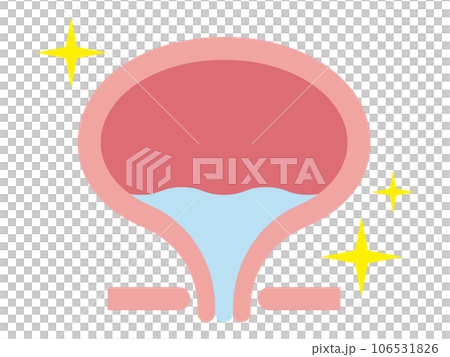 膀胱のイラスト 106531826
