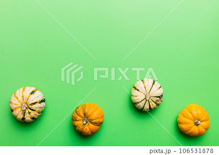 Autumn composition of little orange pumpkins on colored table background. Fall, Halloween and Thanksgiving concept. Autumn flat lay photography. Top view vith copy space 106531878