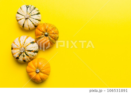 Autumn composition of little orange pumpkins on colored table background. Fall, Halloween and Thanksgiving concept. Autumn flat lay photography. Top view vith copy space 106531891