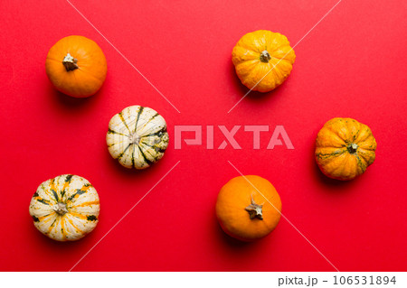 Autumn composition of little orange pumpkins on colored table background. Fall, Halloween and Thanksgiving concept. Autumn flat lay photography. Top view vith copy space Autumn composition of little orange pumpkins on colored table background. Fall, Halloween and Thanksgiving concept. Autumn flat lay photography. Top view vith copy space 106531894
