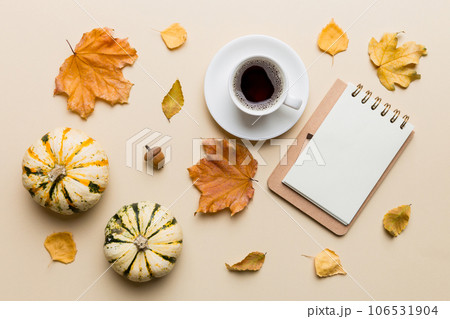 Autumn composition Autumn composition 106531904