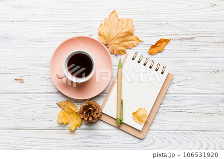 Autumn composition 106531920