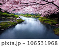 Beautiful landscape of river and blooming cherry blossoms in spring, Japan 106531968