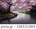 Beautiful landscape of river and blooming cherry blossoms in spring, Japan 106531969