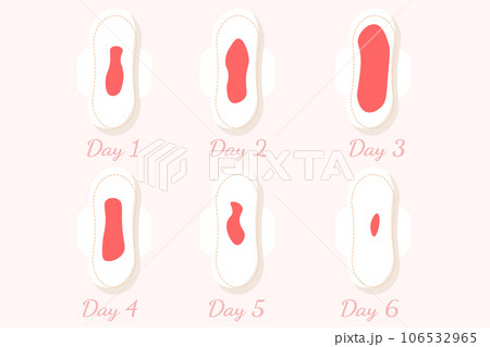 menstruation Female regular menstrual cycle, menstrual...のイラスト素材 [106532965] - PIXTA