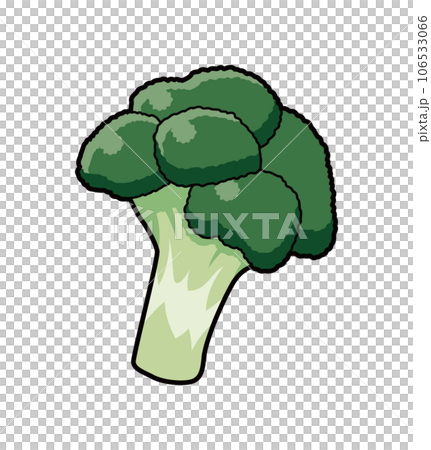 ブロッコリー　イラスト 106533066