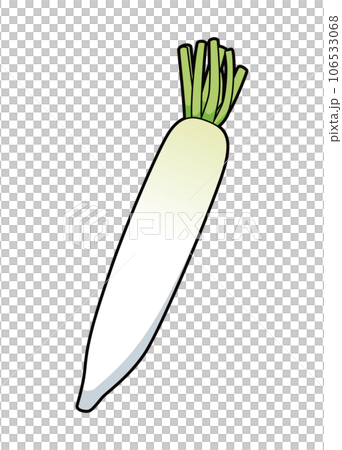 だいこん　イラスト 106533068