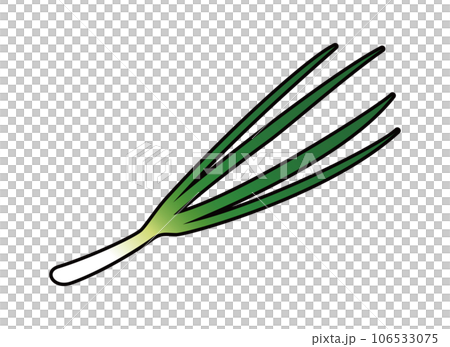 葉ねぎ　イラスト 106533075