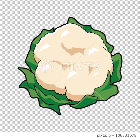 カリフラワー イラスト カリフラワー イラスト 106533079