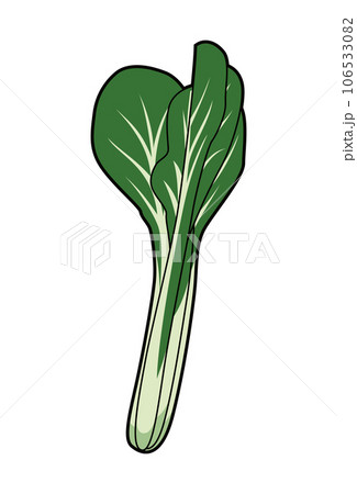 小松菜　イラスト 106533082
