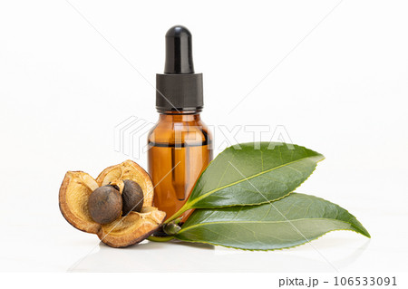Camellia essential oil amber bottle, camellia nut with seeds and leaves on white background 106533091