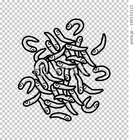 Whitebait illustration 106533122