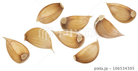 Falling garlic cloves isolated on white background Falling garlic cloves isolated on white background 106534305