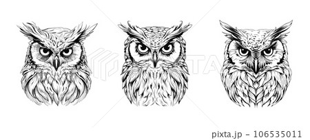 Owls black sketch. Angry owl, hand drawn wild forest birds heads. Decorative engraving illustration, abstract vector bird set 106535011
