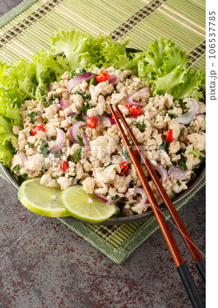 Laab gai or larb gai, spicy minced chicken breast salad, the healthy food served with fresh greens closeup on the plate. Vertical Laab gai or larb gai, spicy minced chicken breast salad, the healthy food served with fresh greens closeup on the plate. Vertical 106537785