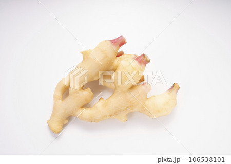 おいしい国産のシャキシャキ新生姜 おいしい国産のシャキシャキ新生姜 106538101