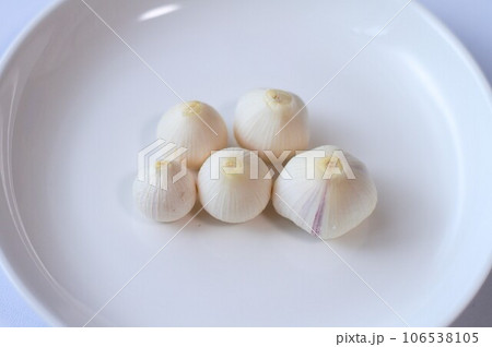小さなにんにく 106538105