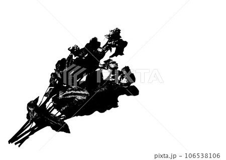 バラのドライフラワー（バイナリー画像） 106538106