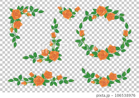 Rose flower orange illustration frame set 106538976