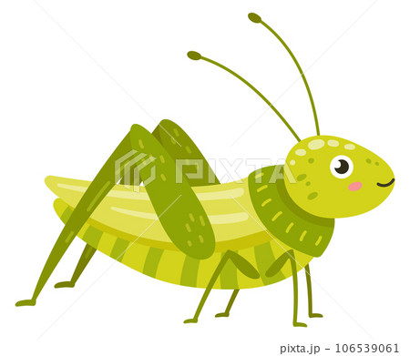 Grasshopper with smiling face. Green insect cartoon character Grasshopper with smiling face. Green insect cartoon character 106539061
