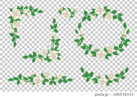 White rose flower illustration frame set White rose flower illustration frame set 106539333