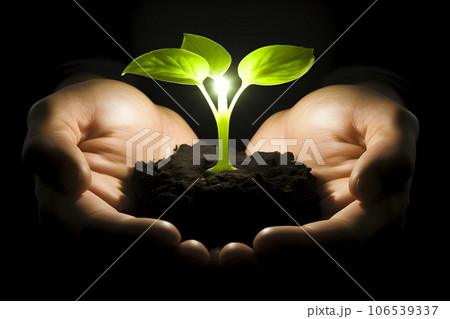 Plant growing seedling in hand. Bokeh green background on nature field grass forest. Environment Earth Day and Conservation Concept. Generative Ai. Plant growing seedling in hand. Bokeh green background on nature field grass forest. Environment Earth Day and Conservation Concept. Generative Ai. 106539337